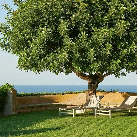 酒店 保拉别墅酒店 5*