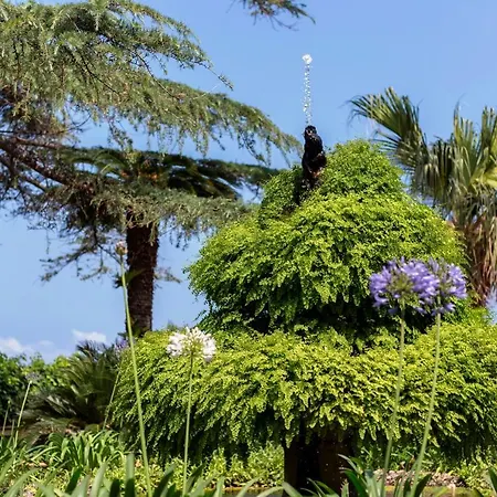 保拉别墅酒店 特罗佩阿