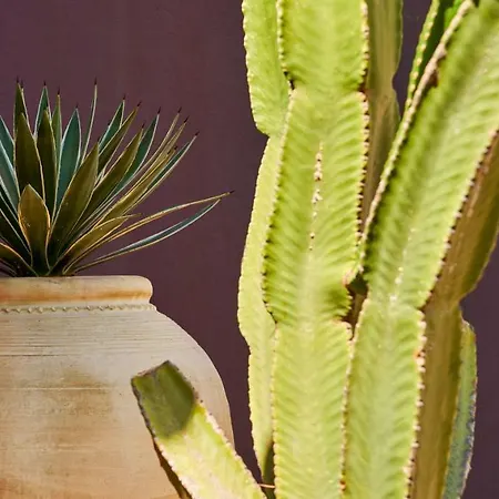 Ξενοδοχείο Paola